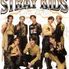 flat750x075f pad750x1000f8f8f8 37 - Stray Kids EU Store