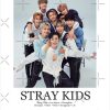 flat750x075f pad750x1000f8f8f8.u2 29 - Stray Kids EU Store