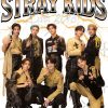flat750x075f pad750x750f8f8f8 17 - Stray Kids EU Store