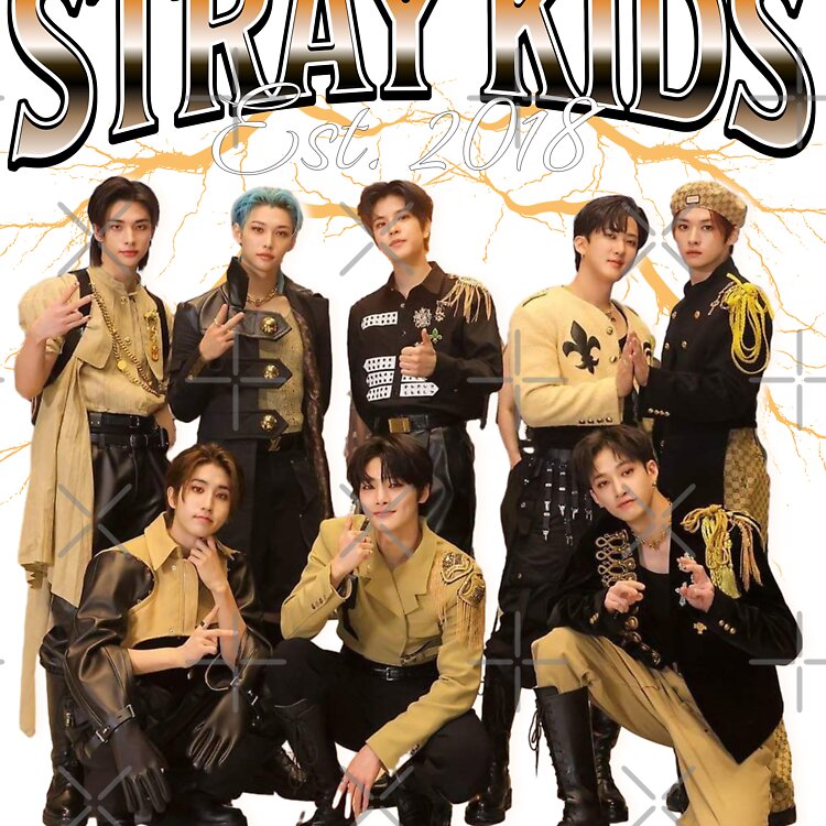 flat750x075f-pad750x750f8f8f8-17.jpg flat750x075f pad750x750f8f8f8 17 - Stray Kids EU Store
