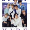 flat750x075f pad750x750f8f8f8 22 - Stray Kids EU Store