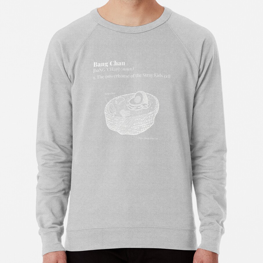 ssrcolightweight_sweatshirtmensheather_greyfrontsquare_productx1000-bgf8f8f8-26.jpg ssrcolightweight sweatshirtmensheather greyfrontsquare productx1000 bgf8f8f8 26 - Stray Kids EU Store