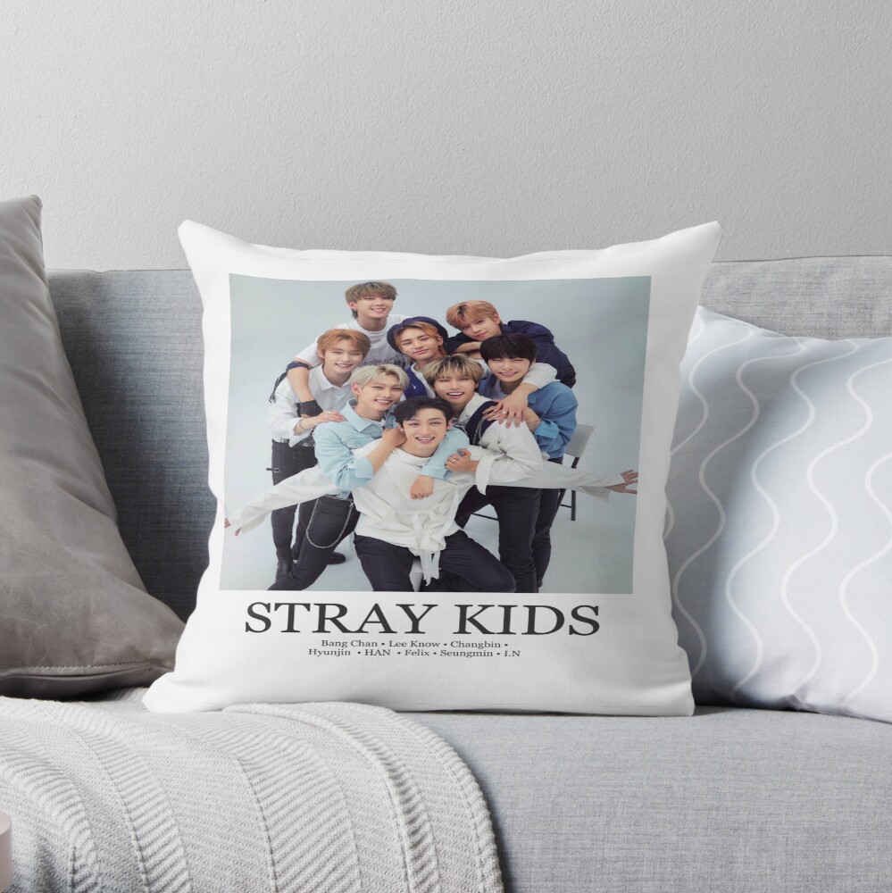 throwpillowsmall1000x-bgf8f8f8-c020010001000-25.jpg throwpillowsmall1000x bgf8f8f8 c020010001000 25 - Stray Kids EU Store